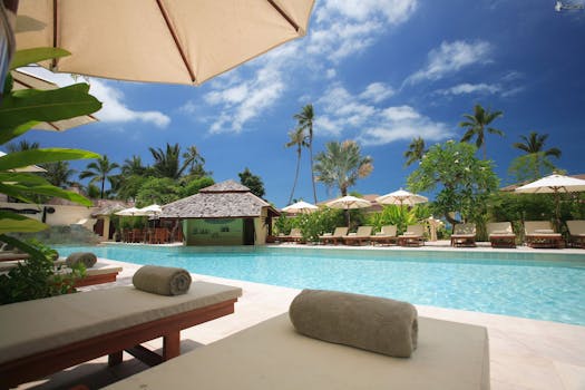 Home Experience ultimate relaxation at a sunlit tropical poolside resort featuring palm trees and blue skies.